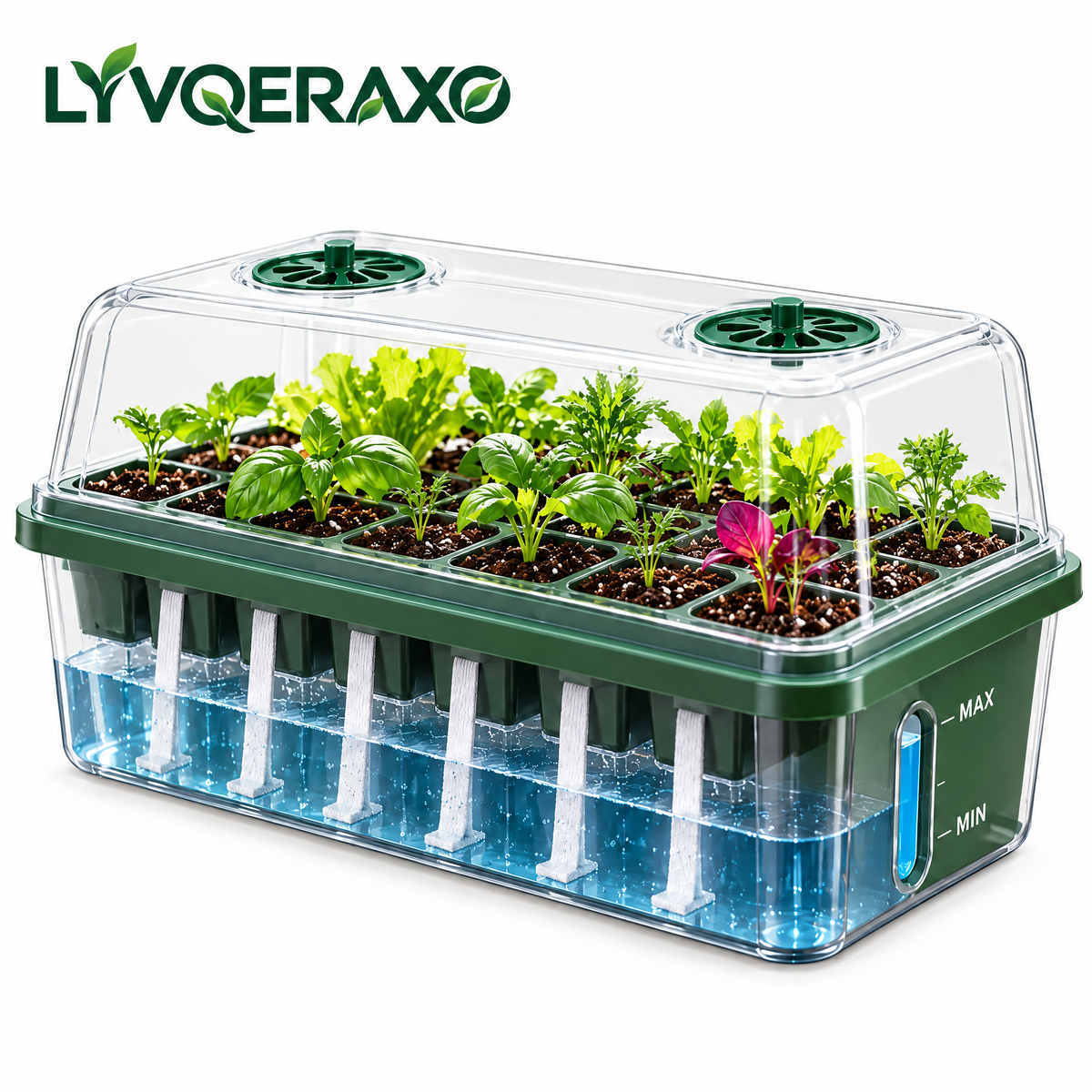 Self-Watering Seed Starter Tray Kit with Water Reservoir, Capillary Wicks & Ventilated Humidity Dome for Indoor Seed Starting